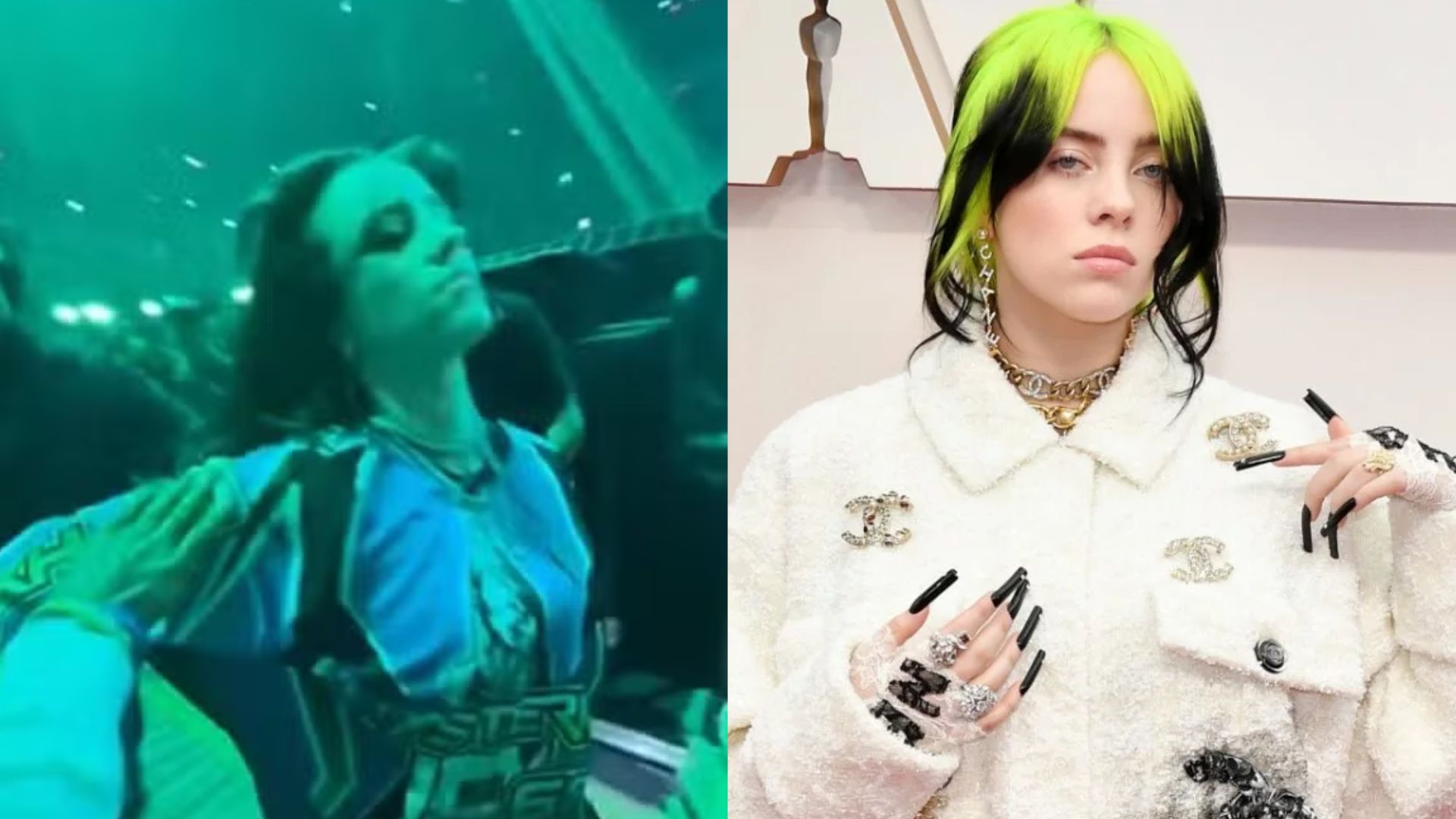 Billie Eilish é puxada violentamente contra grade em show em Miami, e vídeo causa revolta; assista