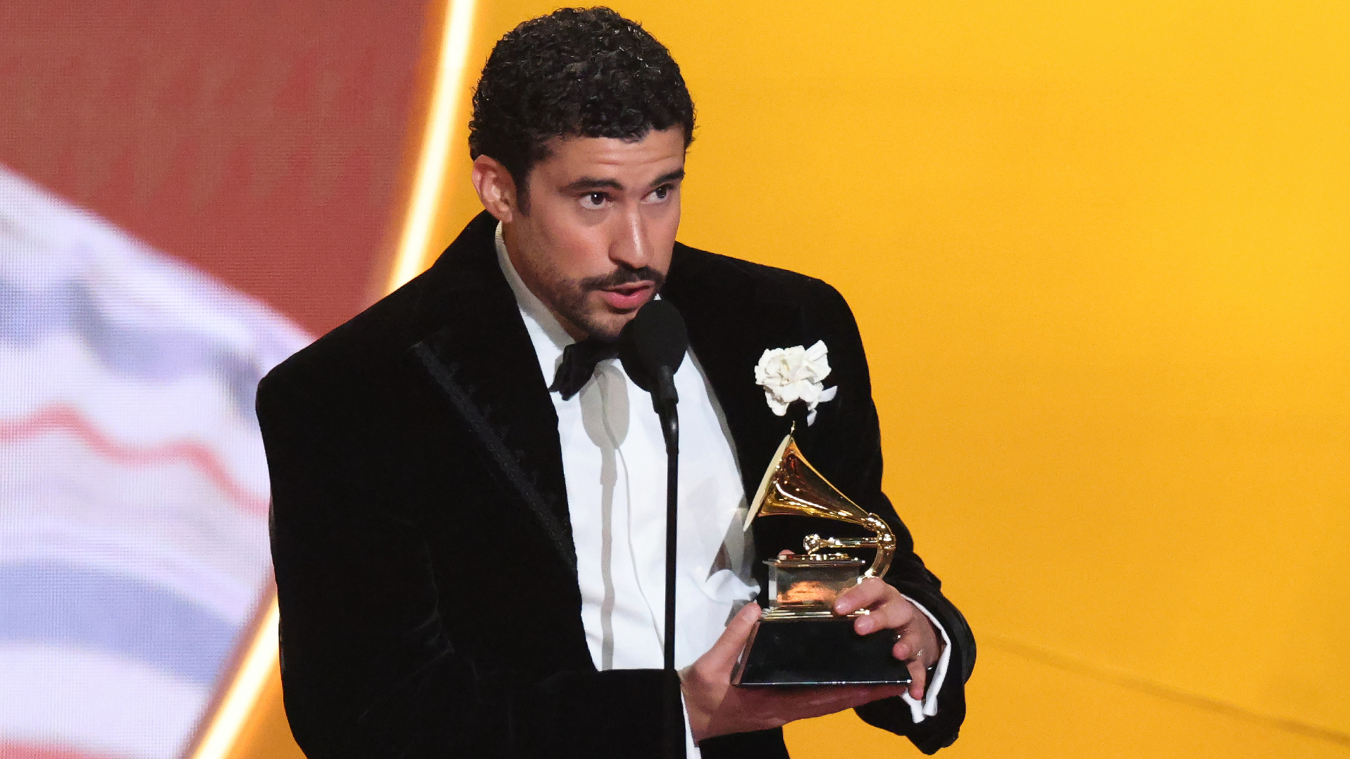 Grammy 2026: Resumão! Bad Bunny leva principal prêmio da noite, chora e faz discurso impactante; veja todos os vencedores