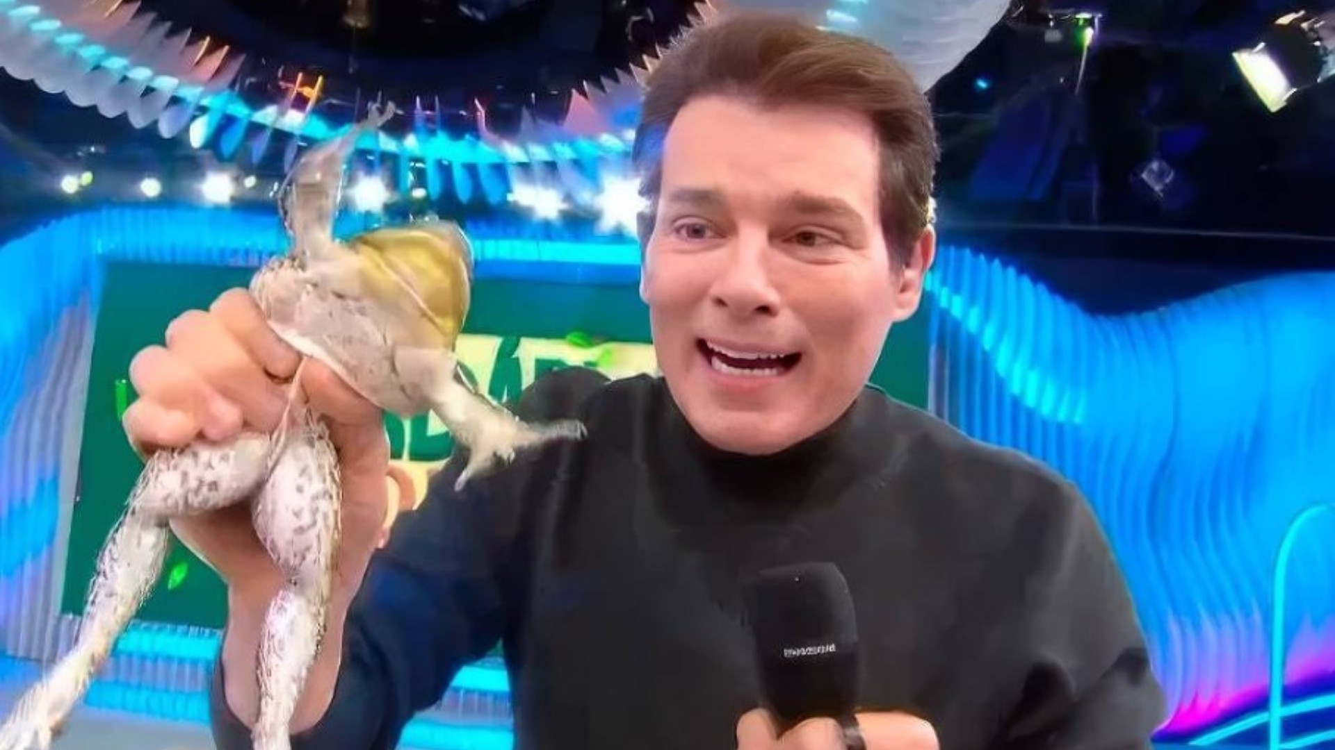 Justiça de SP toma decisão após denúncias envolvendo cena de Celso Portiolli com rã; SBT se pronuncia