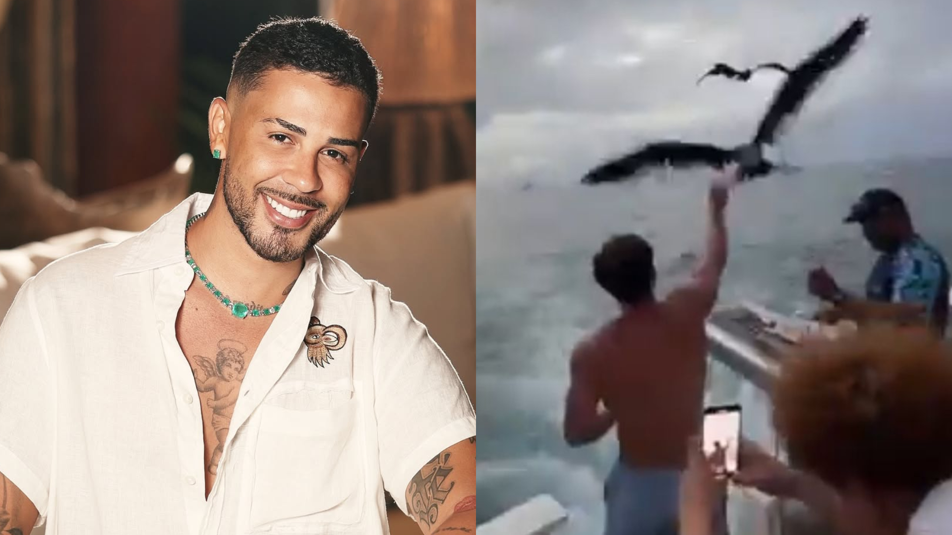 Carlinhos Maia é multado em R$ 1 milhão por vídeo com aves silvestres em Fernando de Noronha; influencer se pronuncia — assista