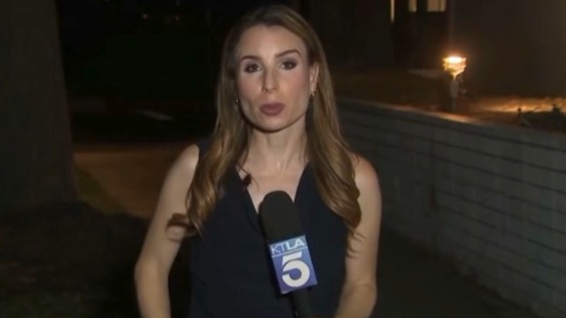 Barata gigante invade transmissão ao vivo, sobe no corpo de repórter e reação da jornalista impressiona; assista