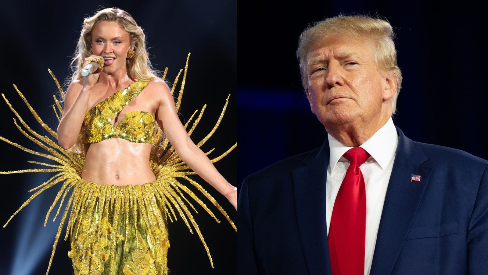 Zara Larsson reage após governo Trump usar música dela em vídeo do ICE e dá resposta afiada; assista
